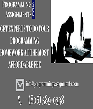 programming-homework-help
