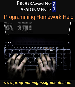 programming-homework-help